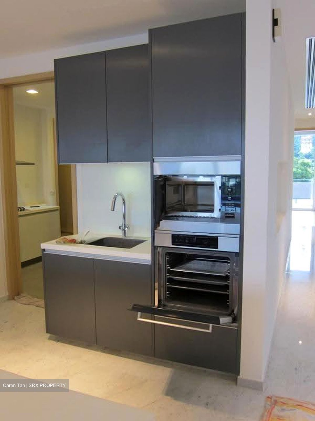 Turquoise (D4), Condominium #629769221
